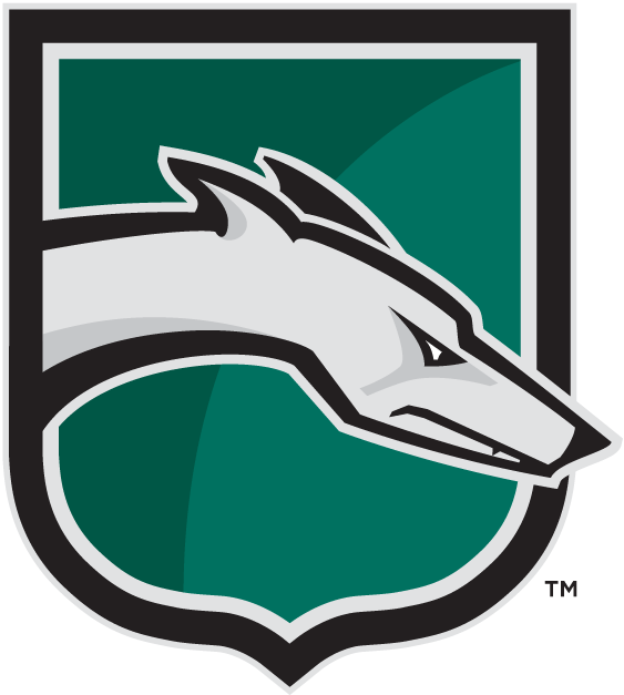 Loyola-Maryland Greyhounds logos iron-ons